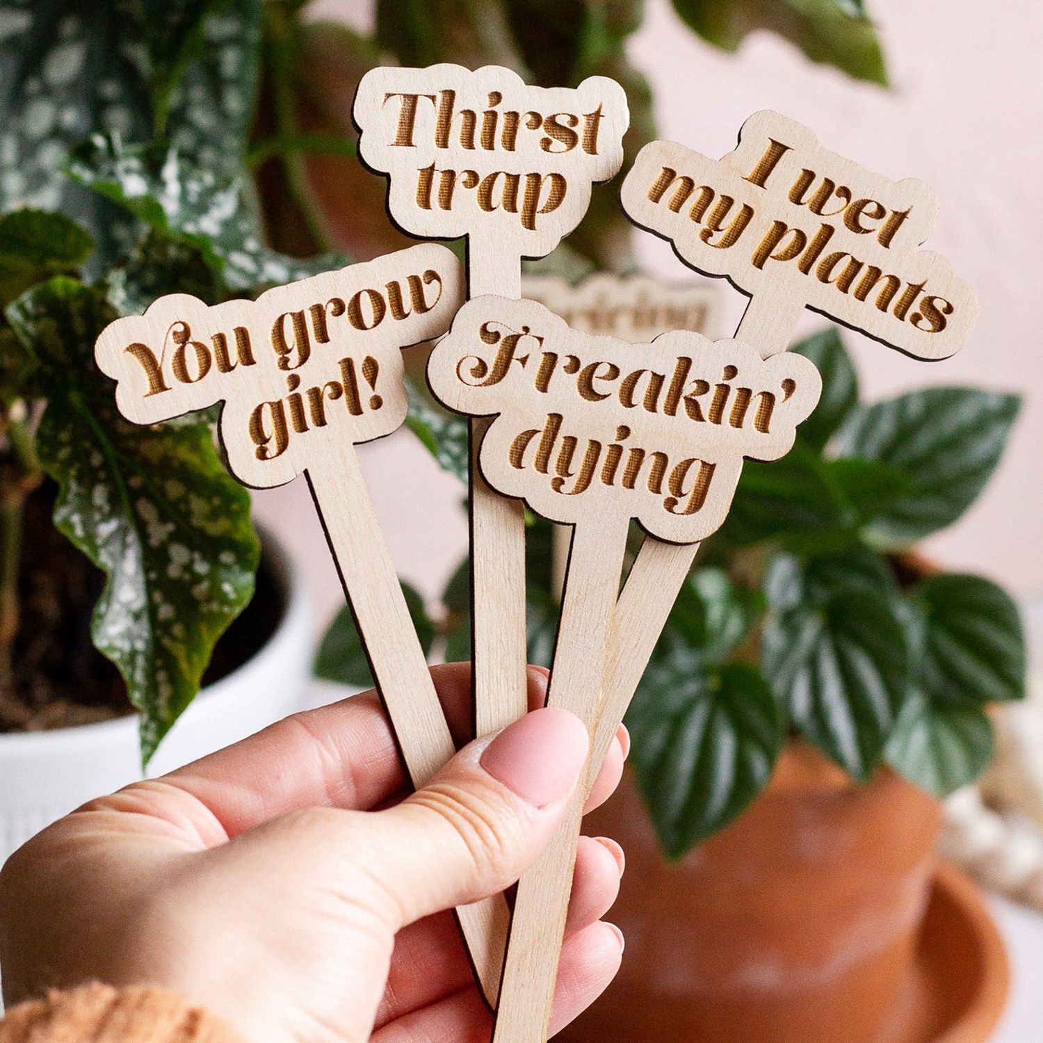 Funny Wooden Plant Markers: Feelin&#39; cute might die later