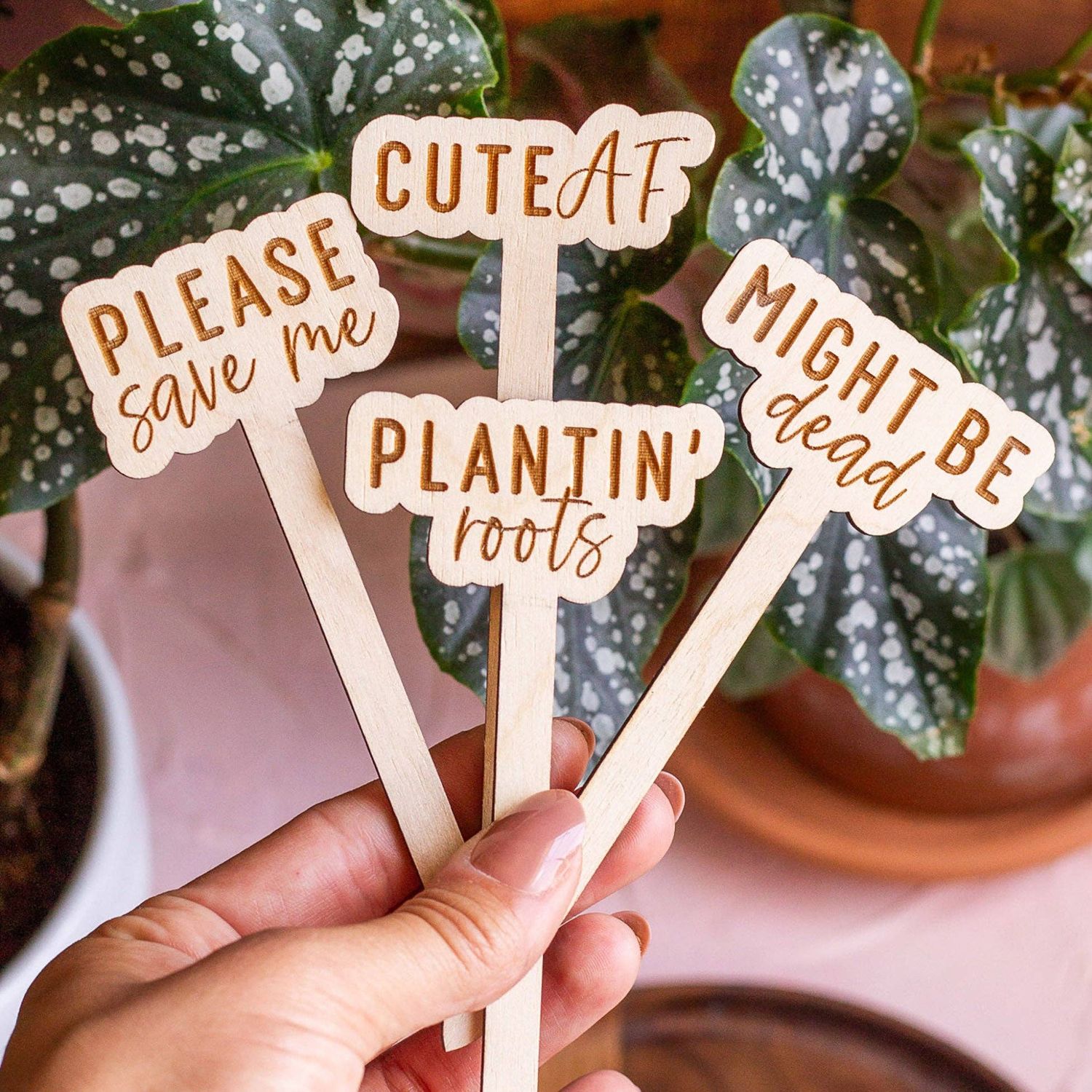 Funny Script Wooden Plant Markers: Emotional Support Plant