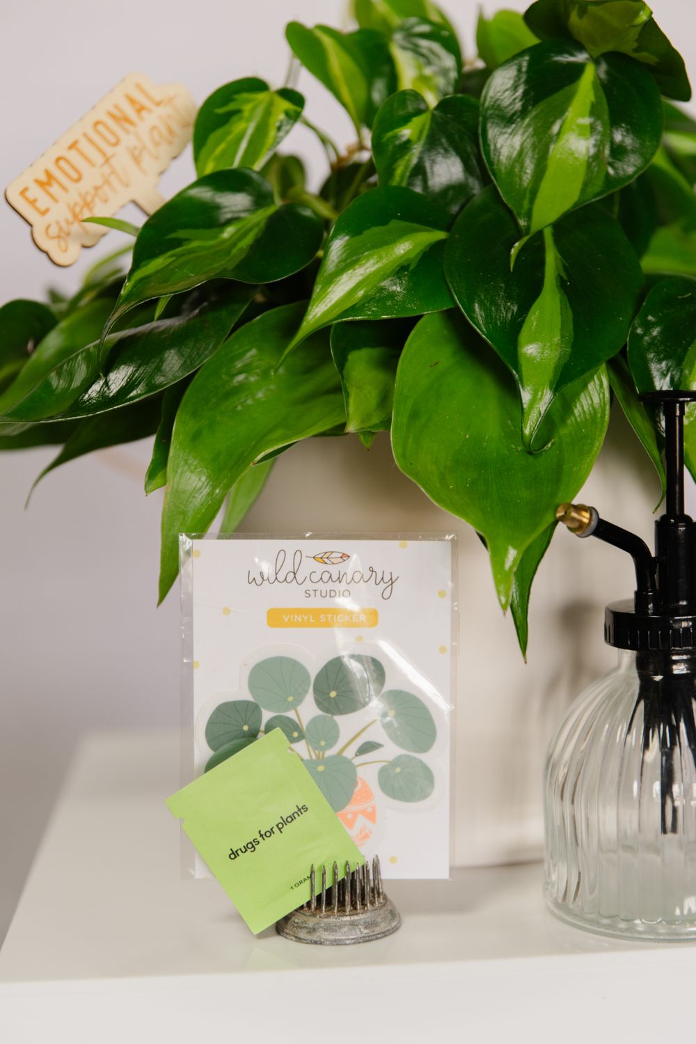 Plant Lovers Collection