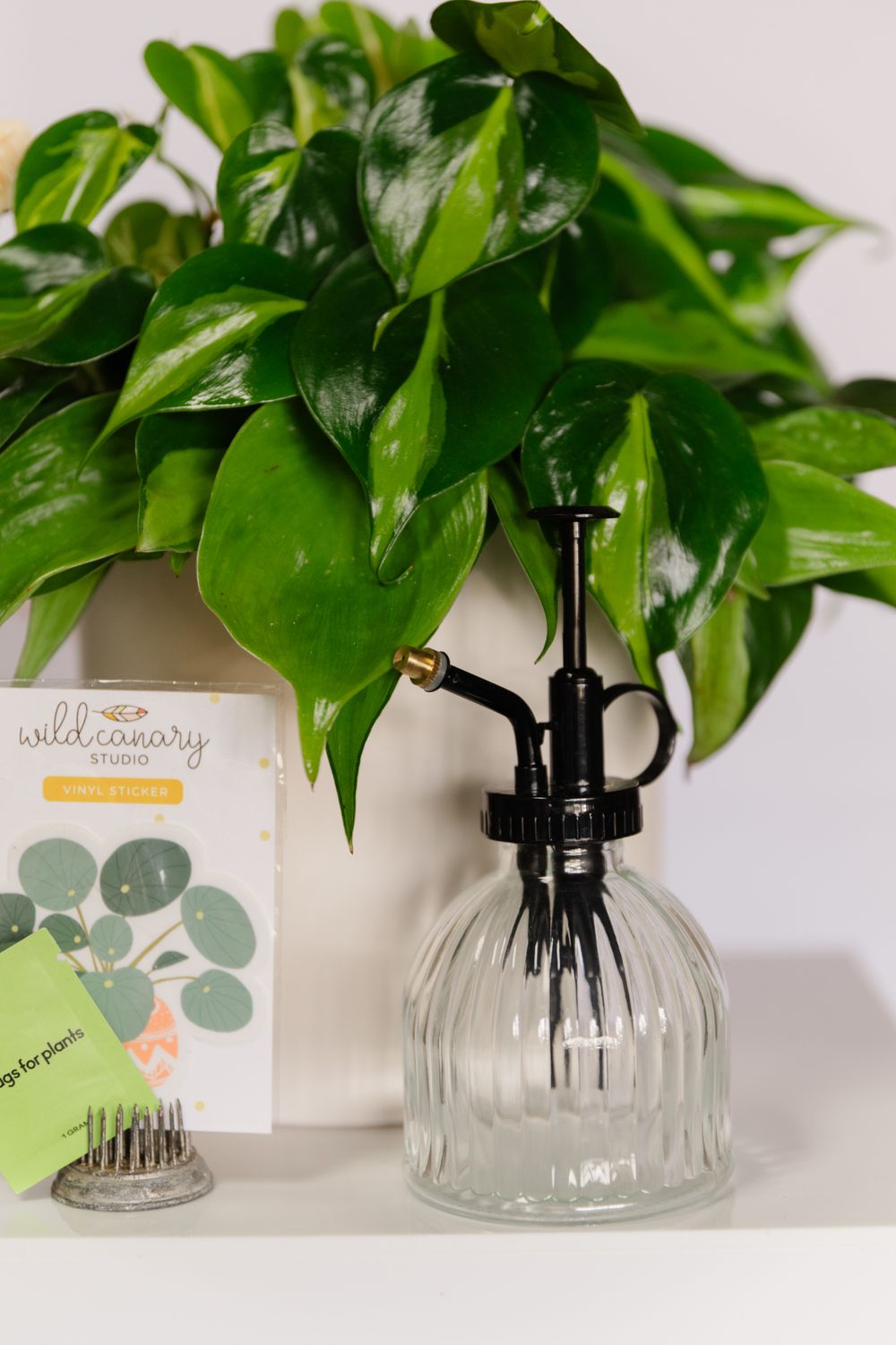 Plant Lovers Collection