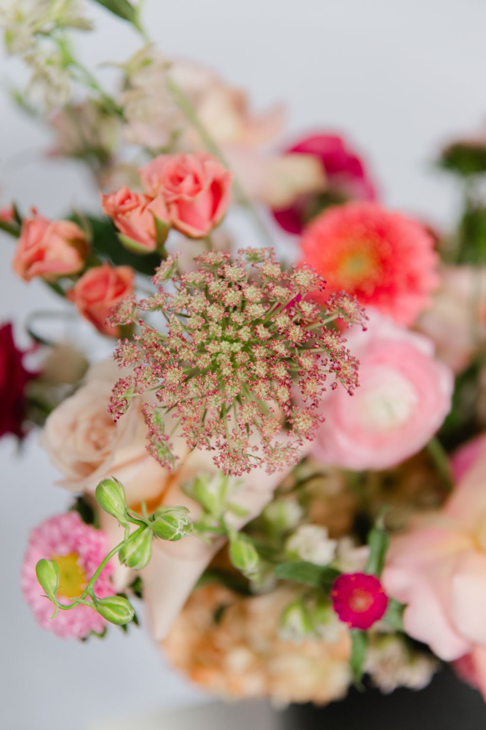 Birthday + Anniversary Designer&#39;s Choice Subscription