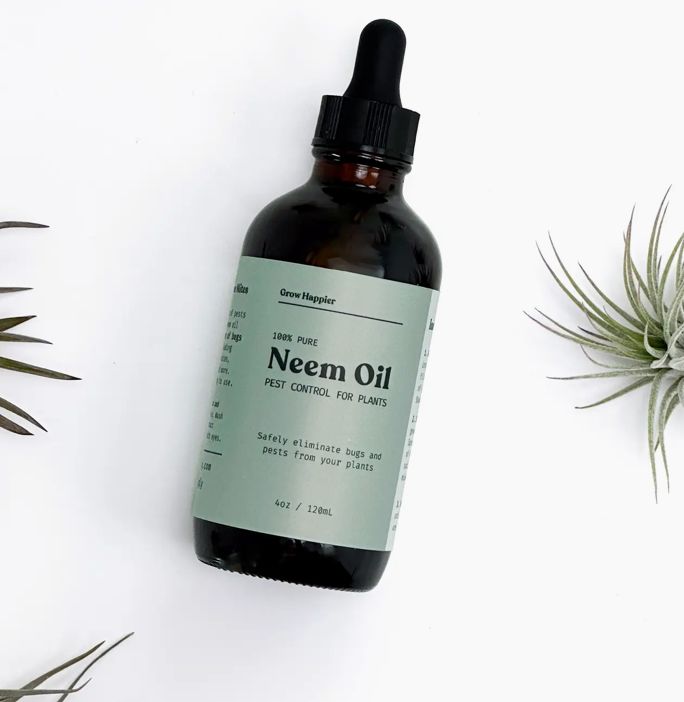 Neem Oil