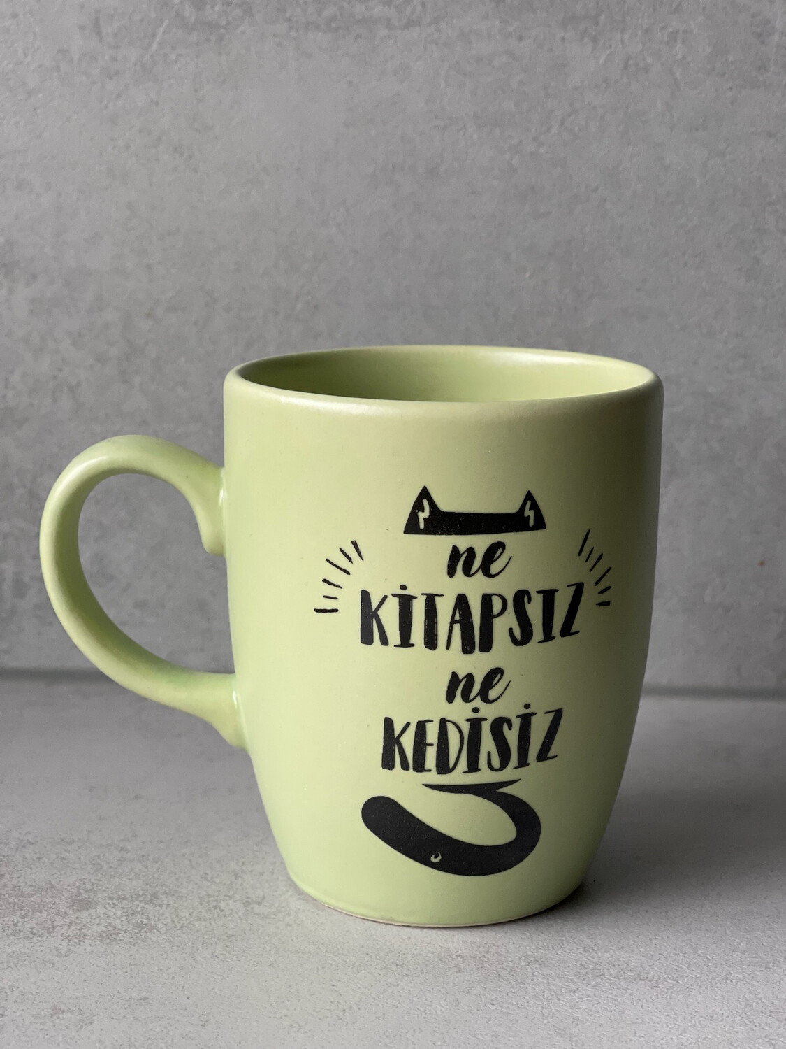 Ne Kitapsiz Ne Kedisiz