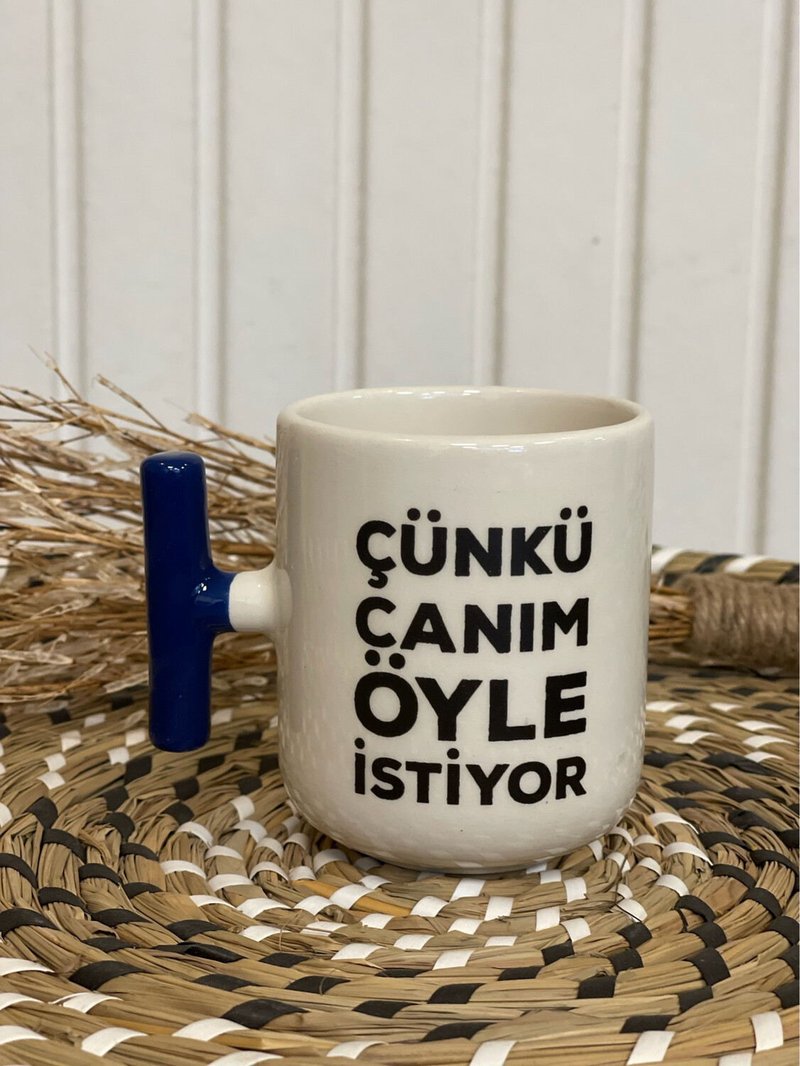 Canim Oyle Istiyor T-Mok