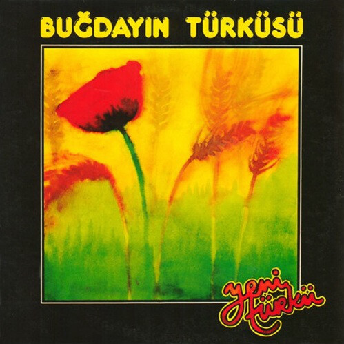 Yeni Turku - Bugdayin Turkusu 