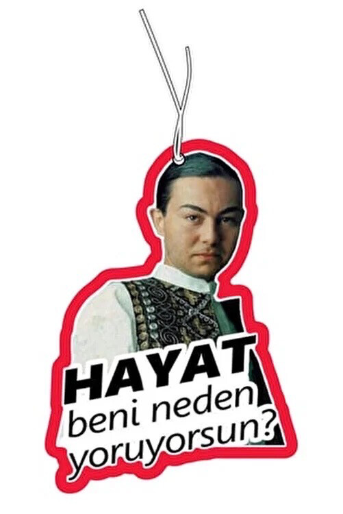 Serdar Ortaç otokokusu