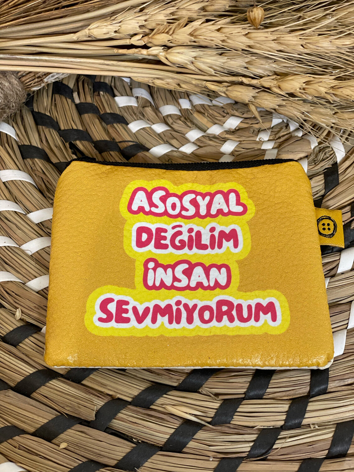 Asosyal degilim