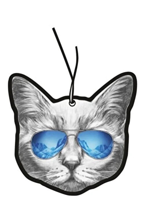 Poes