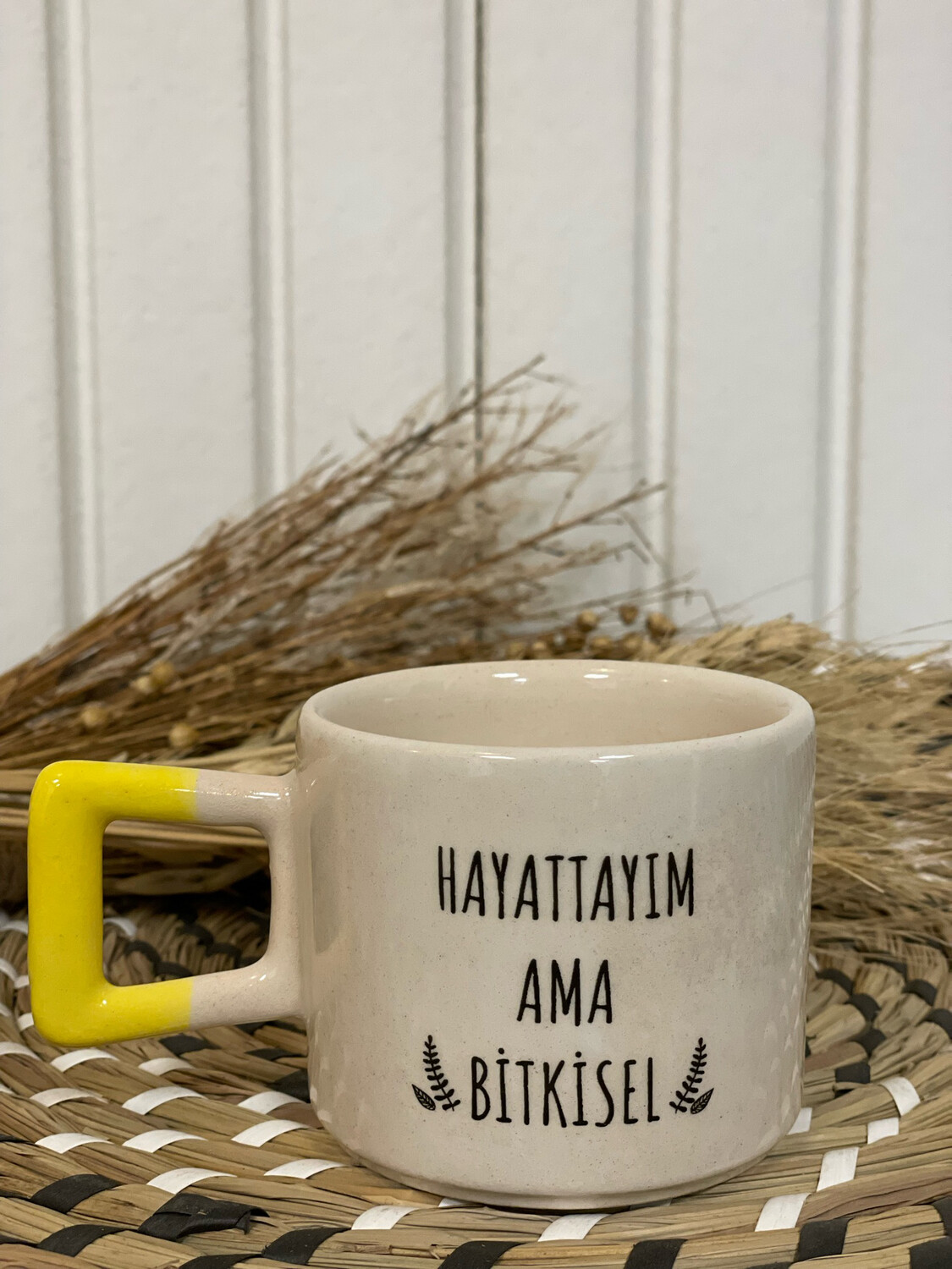 Hayattayim