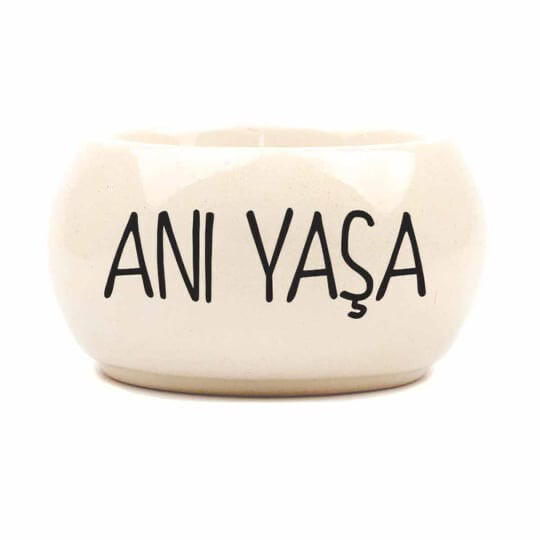 Ani yasa