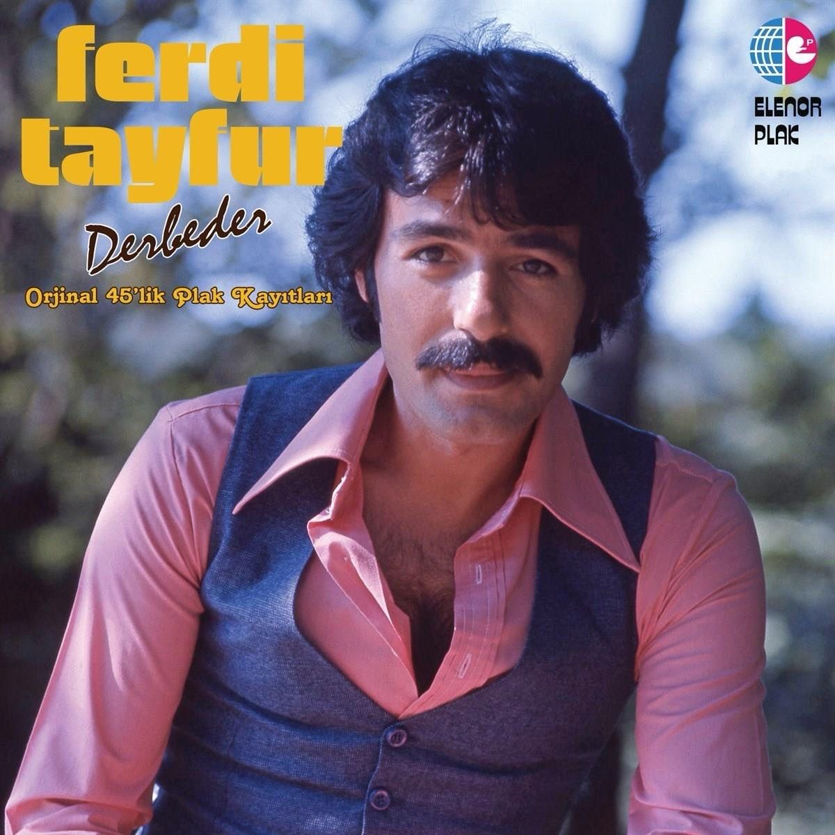 Ferdi Tayfur - Derbeder