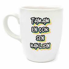 Haklısın