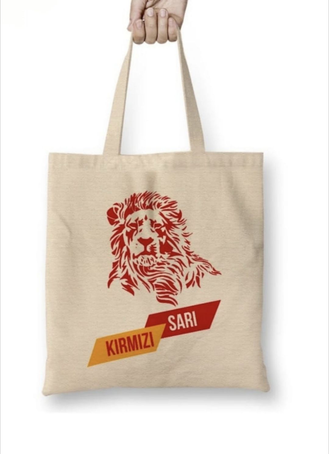 Aslan tas