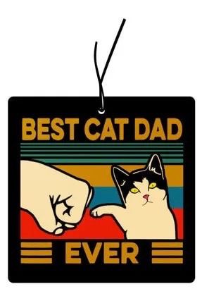 Best cat dad
