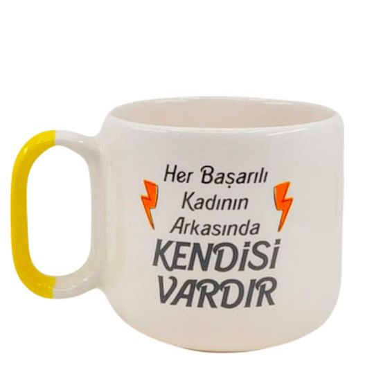 Her basarili kadinin