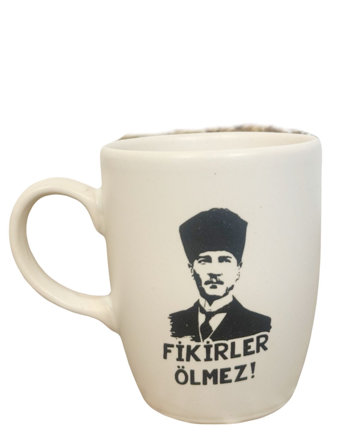 Fikirler ölmez