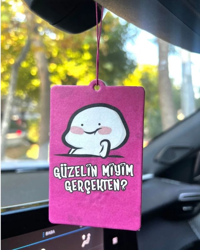 Guzelinmiyim