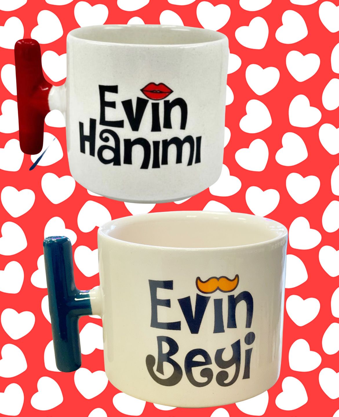 Evin beyi - hanımı