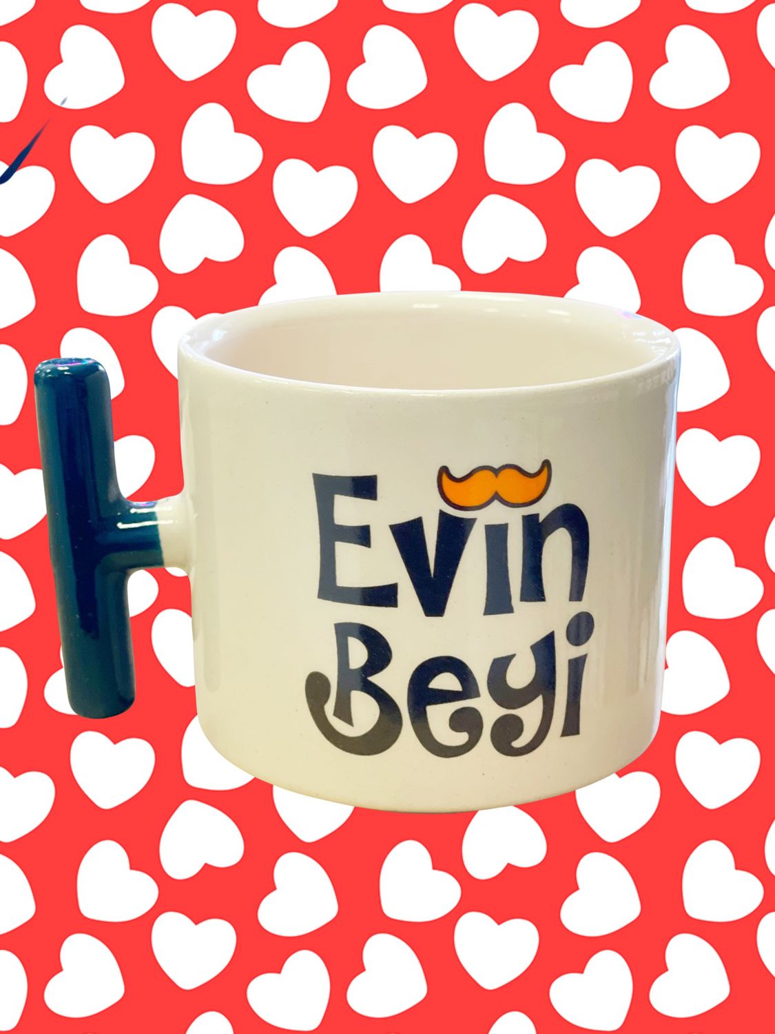 Evin beyi