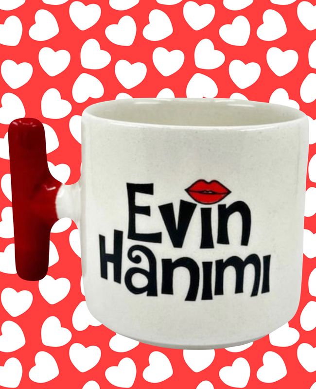 Evin hanımı