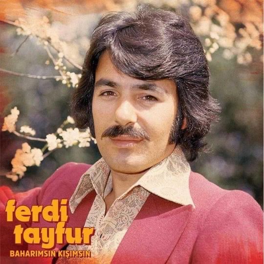 Ferdi Tayfur - Baharımsın Kışımsın Ferdi Tayfur - Baharımsın Kışımsın