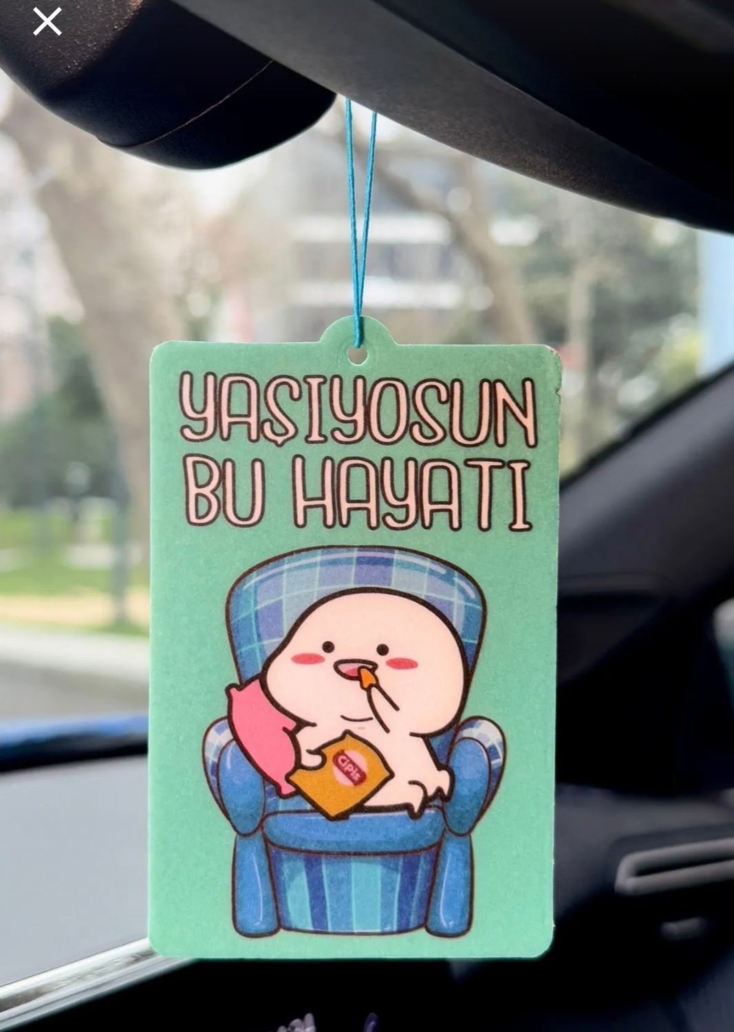 Yasiyorsun autogeur