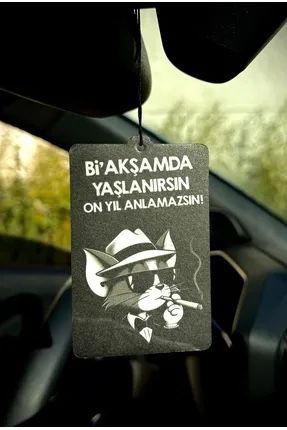Autogeur kedi