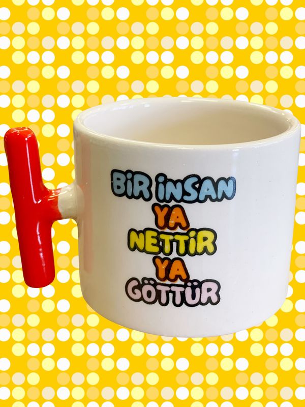 Bir insan
