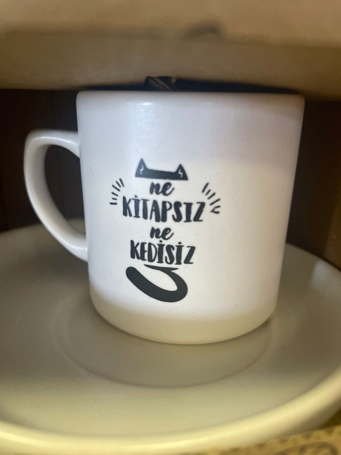 Ne kitapsiz ne kedisiz