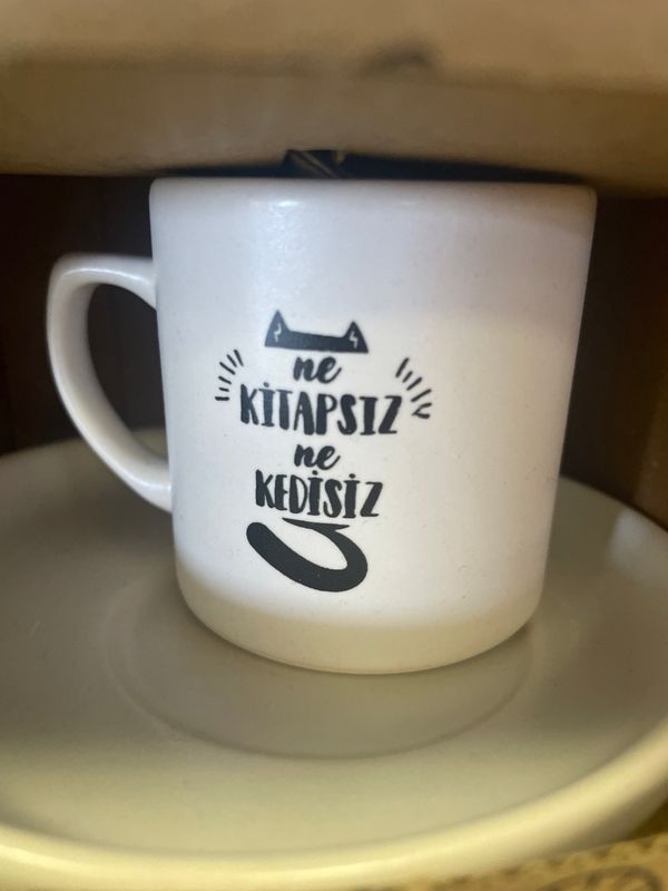 Ne kitapsiz ne kedisiz Ne kitapsiz ne kedisiz