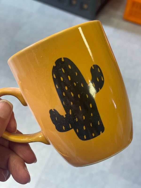 Cactus 