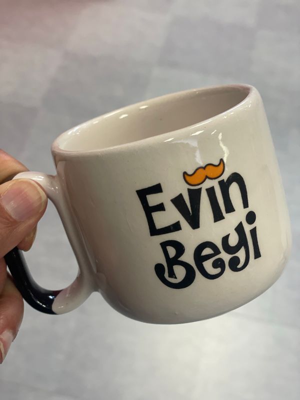 Evin beyi
