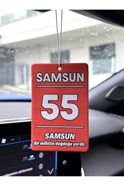 Autogeur Samsun