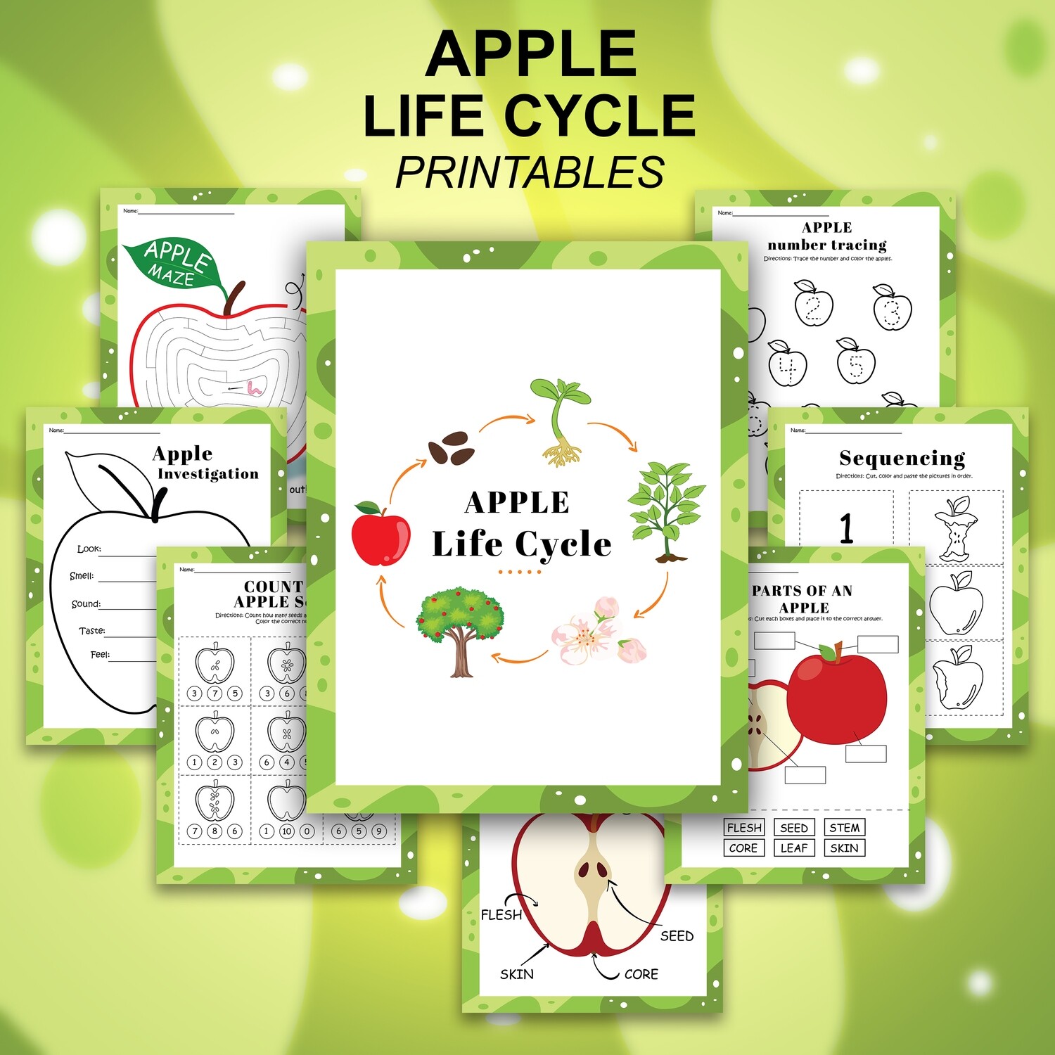 Life Cycle Of An Apple
