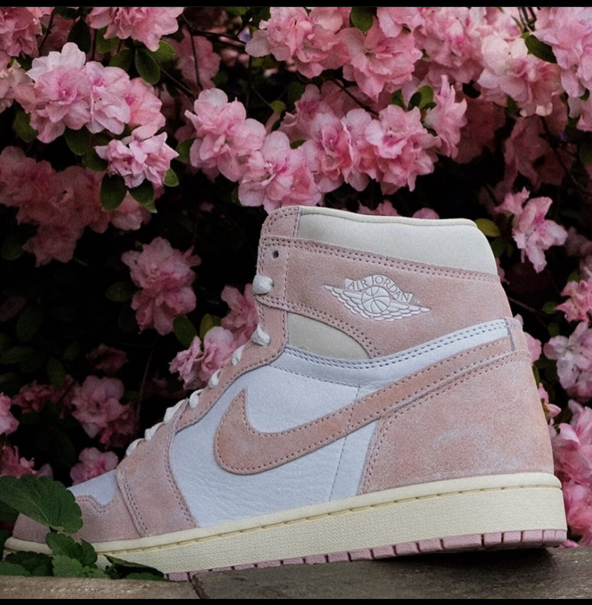 Nike WMNS Air Jordan 1 Retro High OG &quot;Washed Pink&quot;