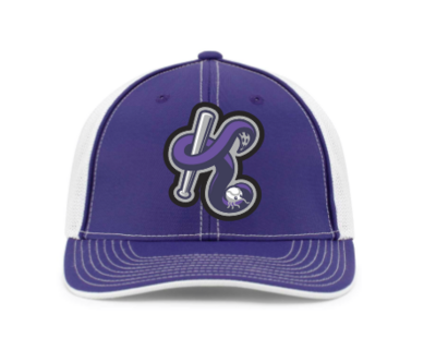 Kraken Flex Fit Hat