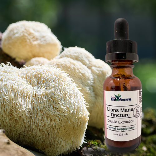 Lion's Mane Tincture