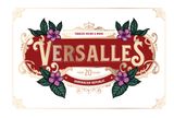 Versalles 4 Cigar Sampler Pack