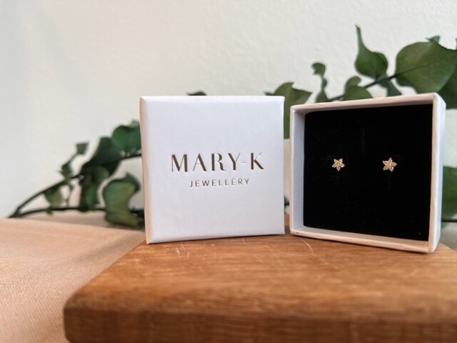 Mary K Gold Crystal Star Stud Earring