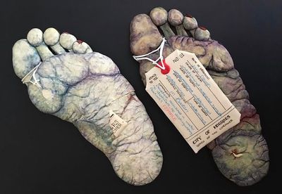 THE Foot - Royal Icing Realism True Crime Mini Course