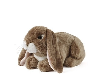 Living Nature Brown Lop Eared Rabbit