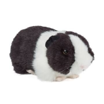 Living nature guinea pig cheap