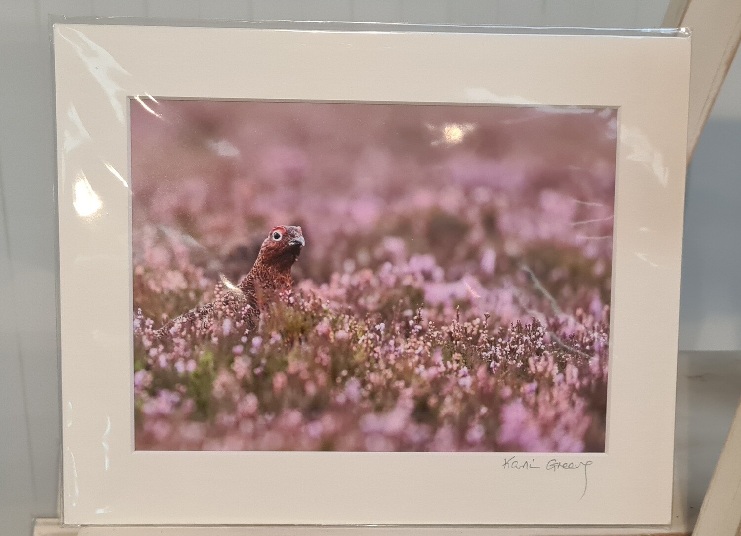 RG1 Red Grouse in flowers Print KW