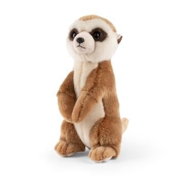 Meerkat Soft Toy