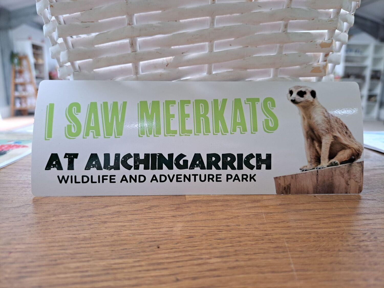 Auchingarrich Meerkat Bumper Sticker