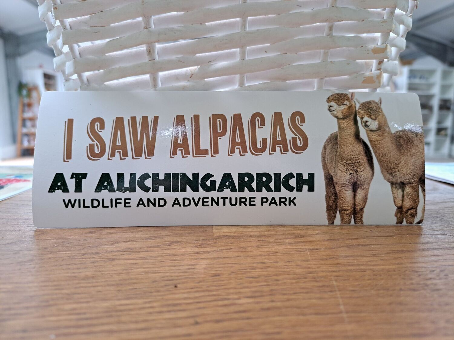 Auchingarrich Alpaca Bumper Sticker