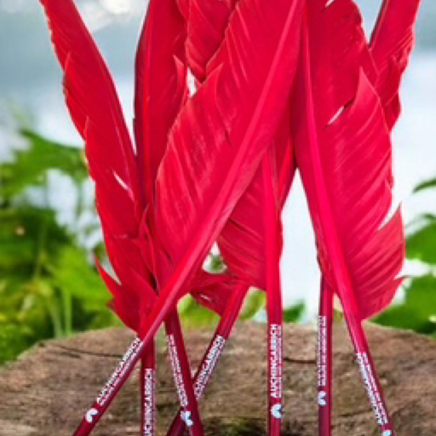 Auchingarrich Feather Pen (Red)