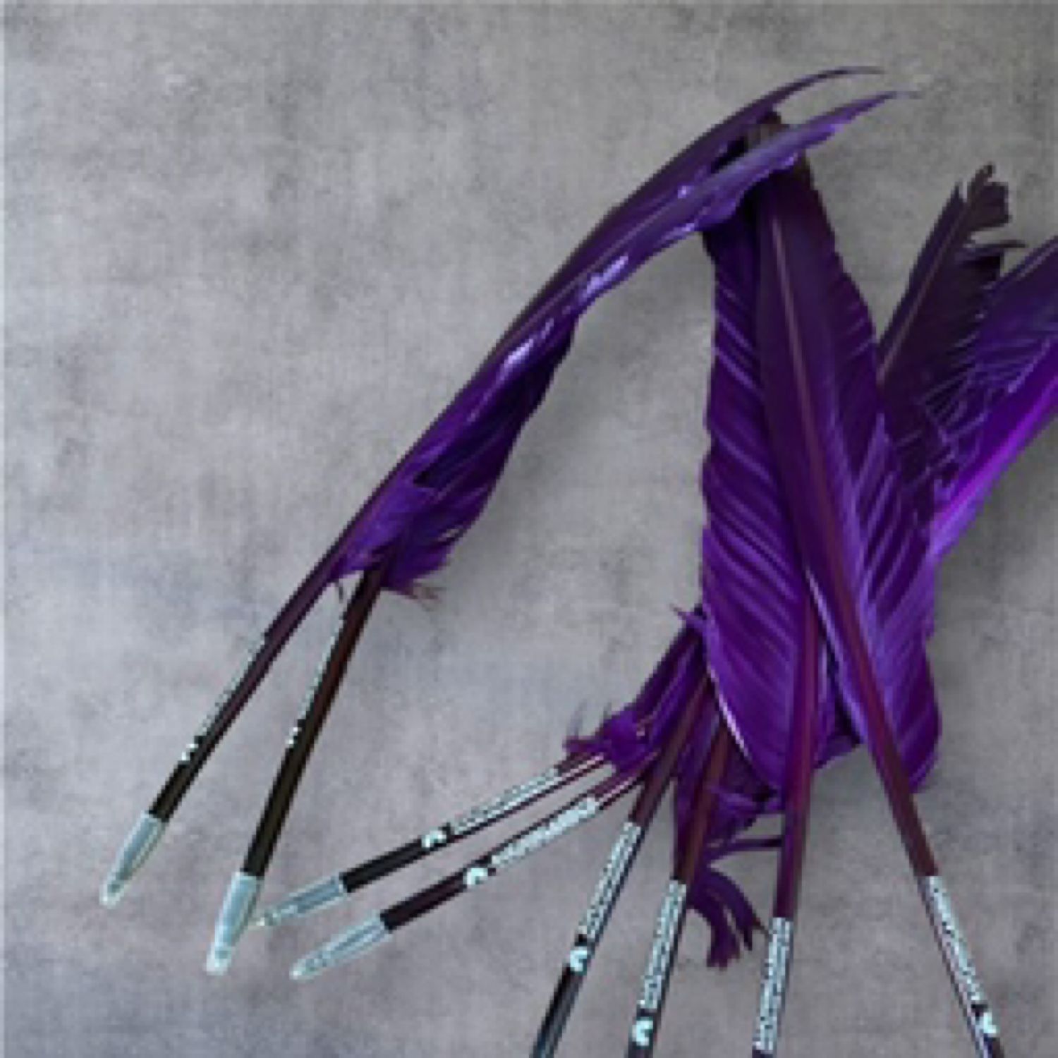 Auchingarrich Feather Pen (Purple)