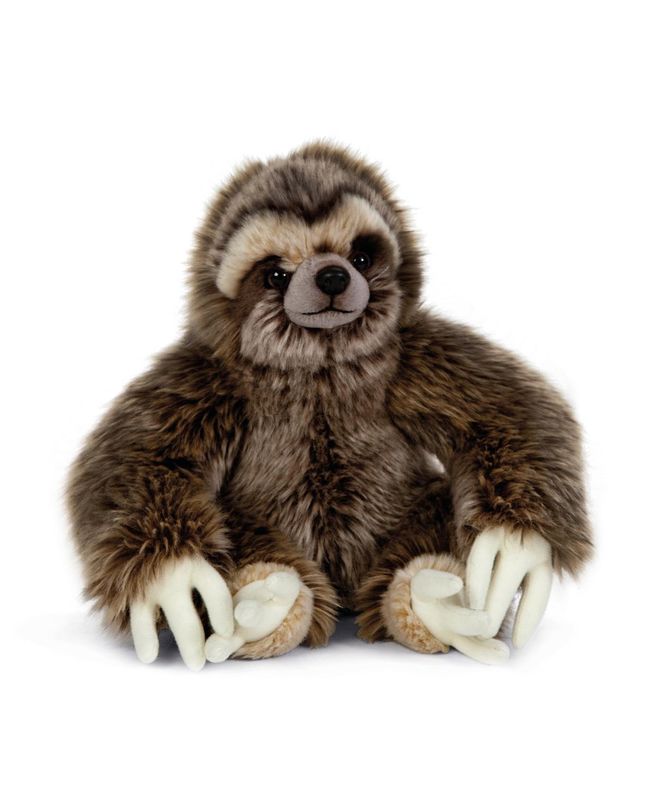 Sloth Soft Toy