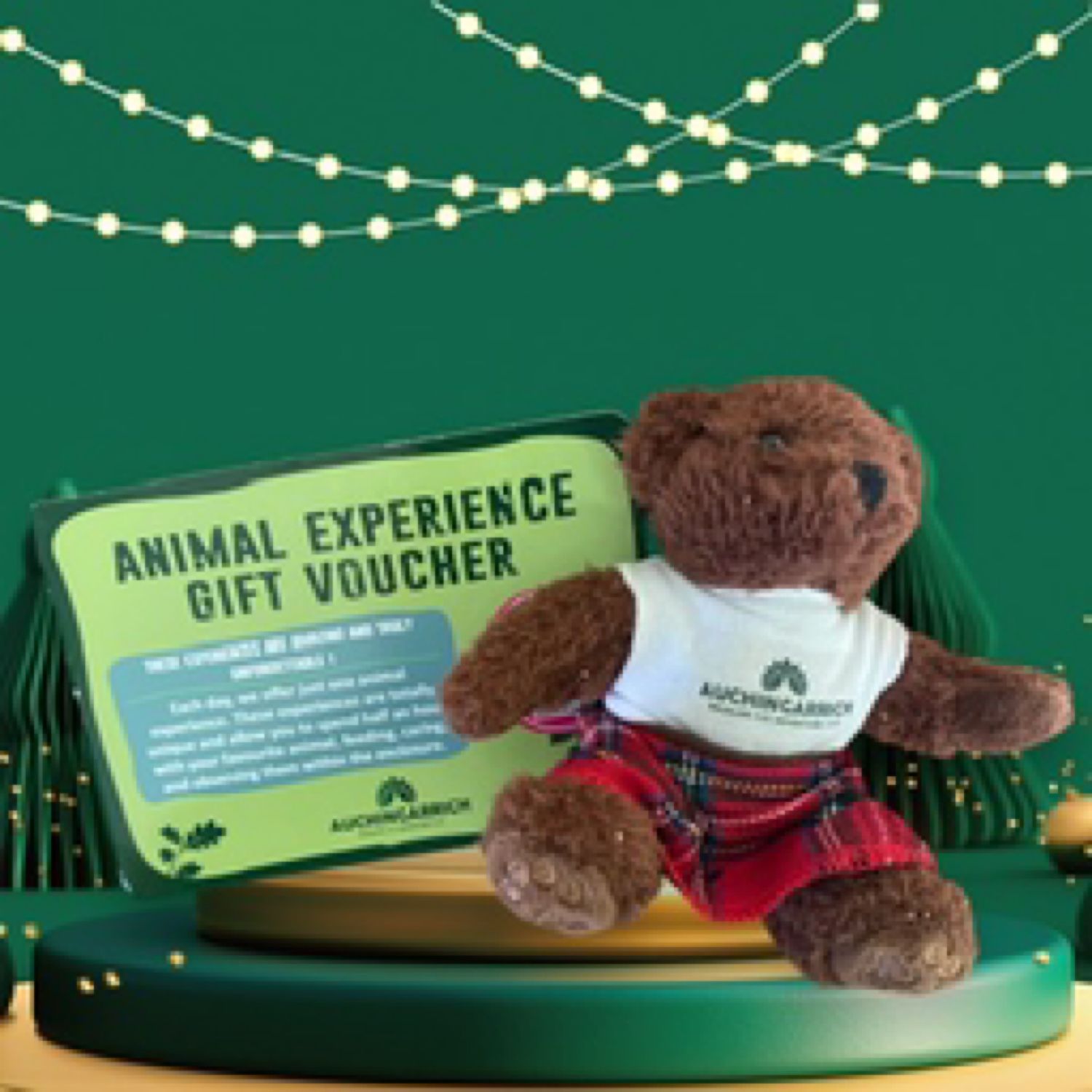 Animal Experience Gifting Bear